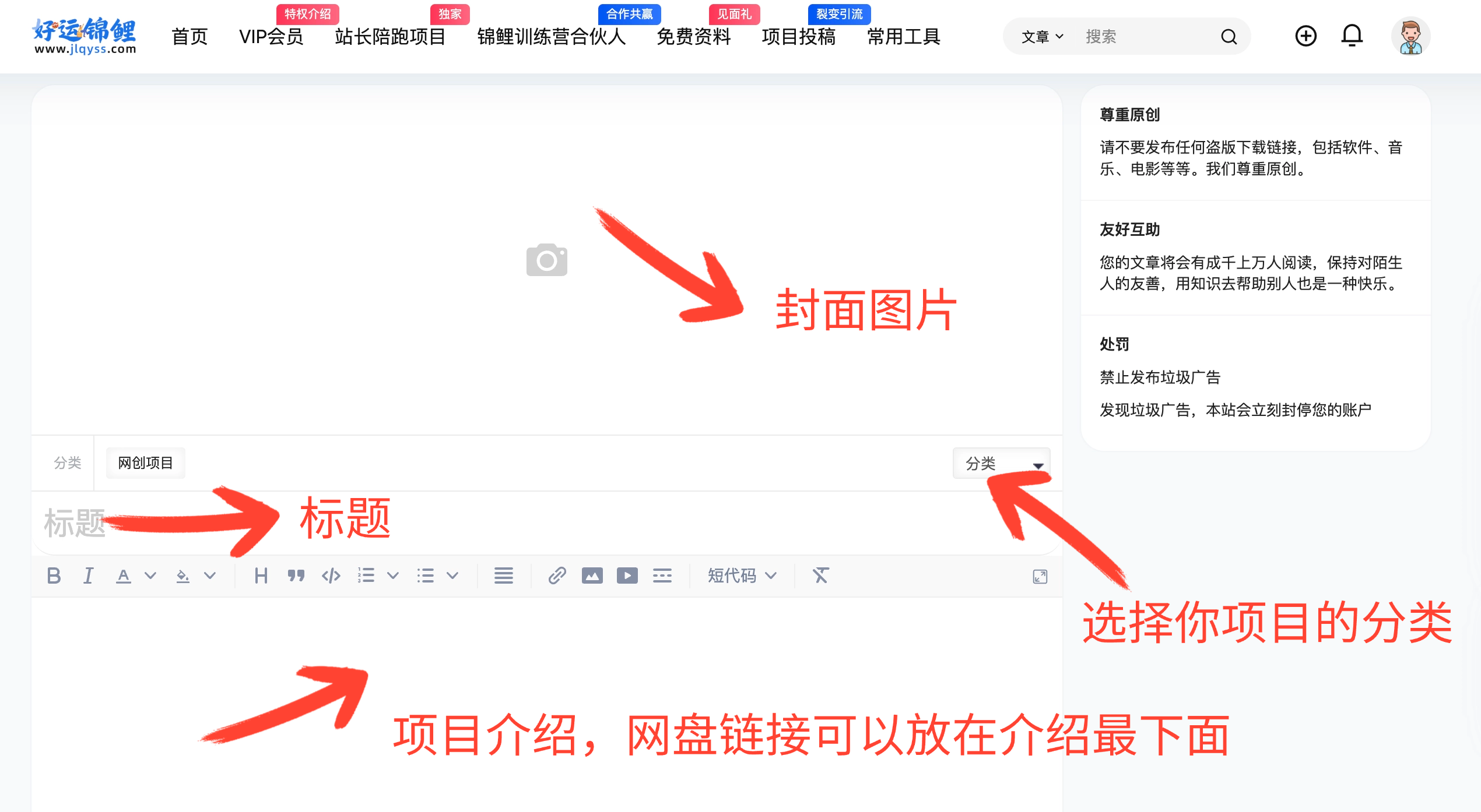 好运锦鲤(前锦鲤钱研所)!最新投稿规则要求!【必看】