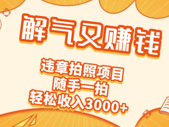 2025最新违章拍照赚钱，解气又赚钱的项目，随手一拍，轻松收入3000+